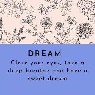 Aromatology Airspray - DREAM